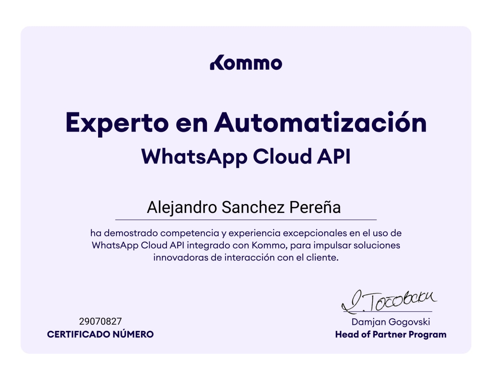 Experto en Automatización